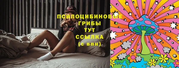 дживик Беломорск