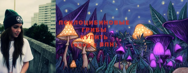 дживик Беломорск