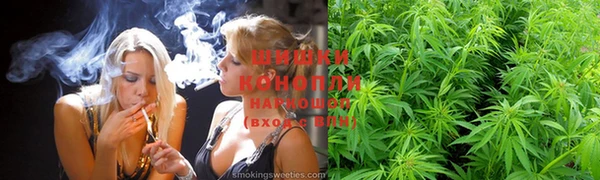 дживик Беломорск