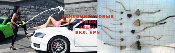 гидропоника Белокуриха