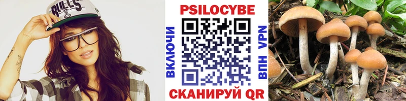 Псилоцибиновые грибы мицелий Богданович